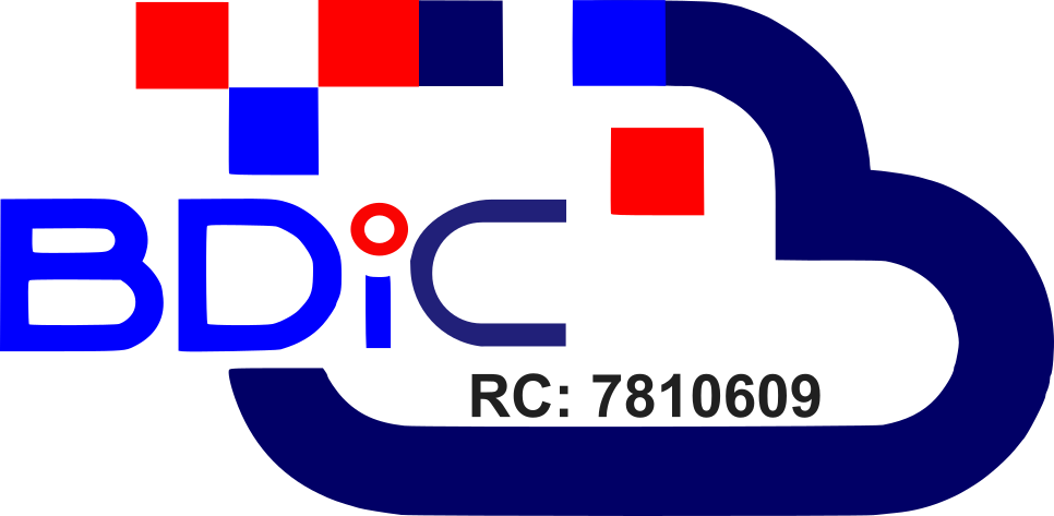BDIC Logo